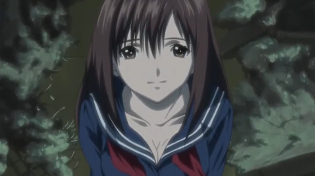 Ichigo 100% - Quando Mizuki Kawashita ha elevato il genere Harem