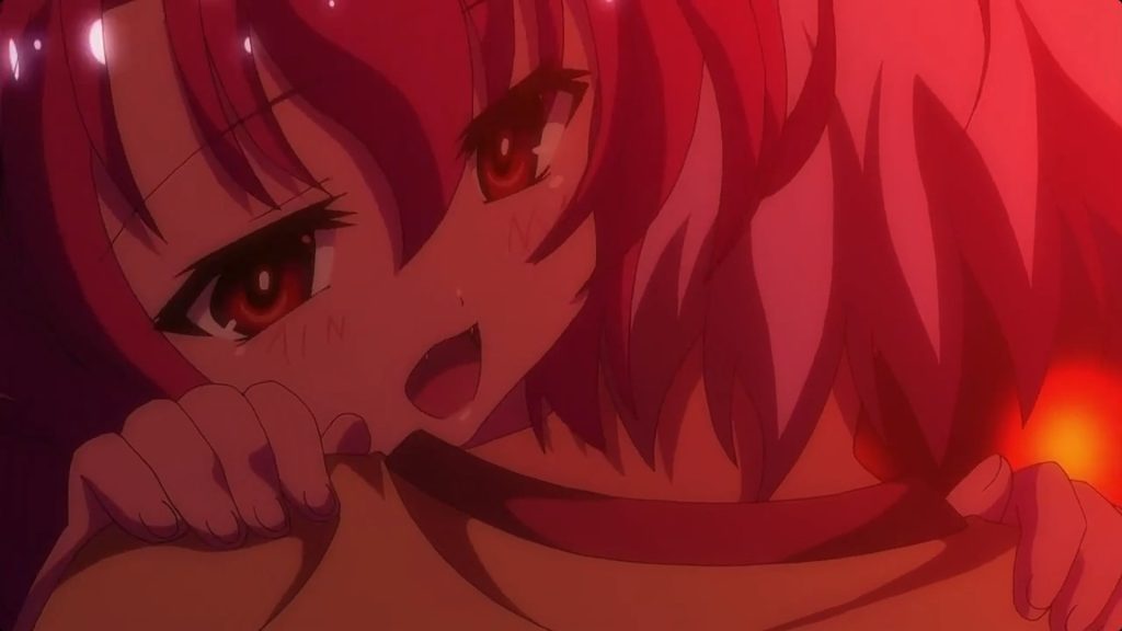 Itsuka Tenma no Kuro Usagi - L'esplosione silenziosa del franchise (2008-2011)