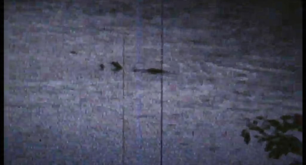 Ogopogo Art Folden filmato 1968 svolta