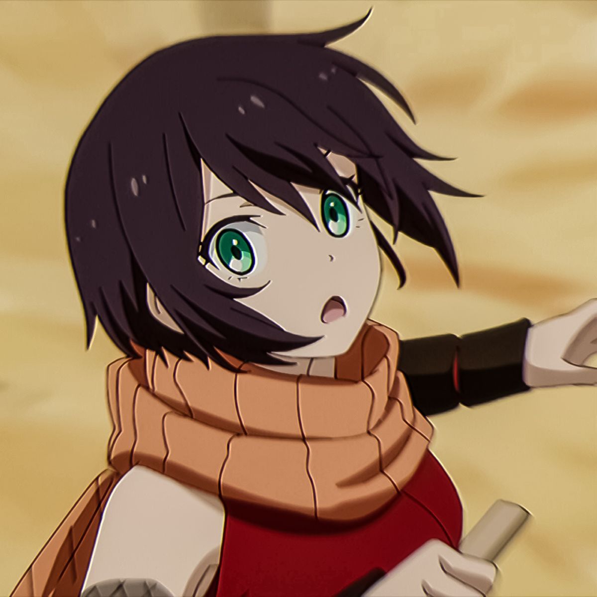 Soka